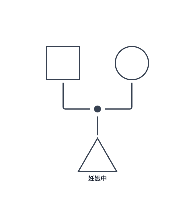 妊娠中のジェノグラム